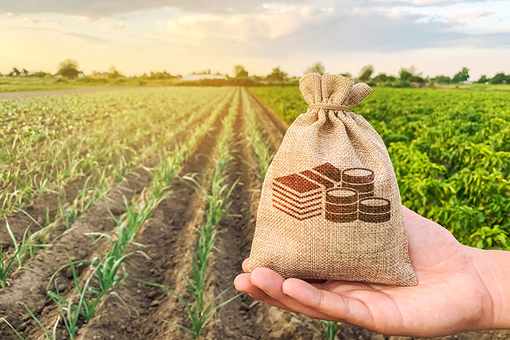 Direito Agrário: Protegendo os Interesses no Campo